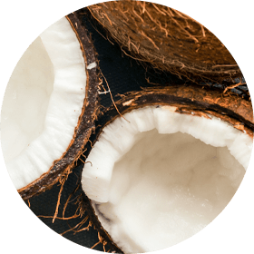Coconut Oil