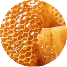 Mountain Wildflower Honey