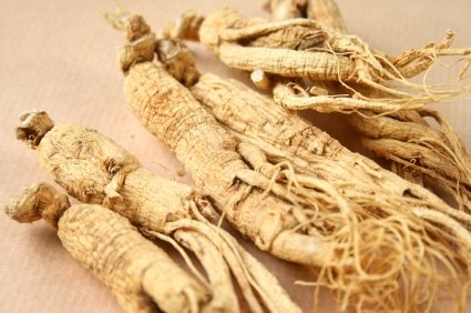 Annmarie Gianni's Herb of the Week: Ginseng