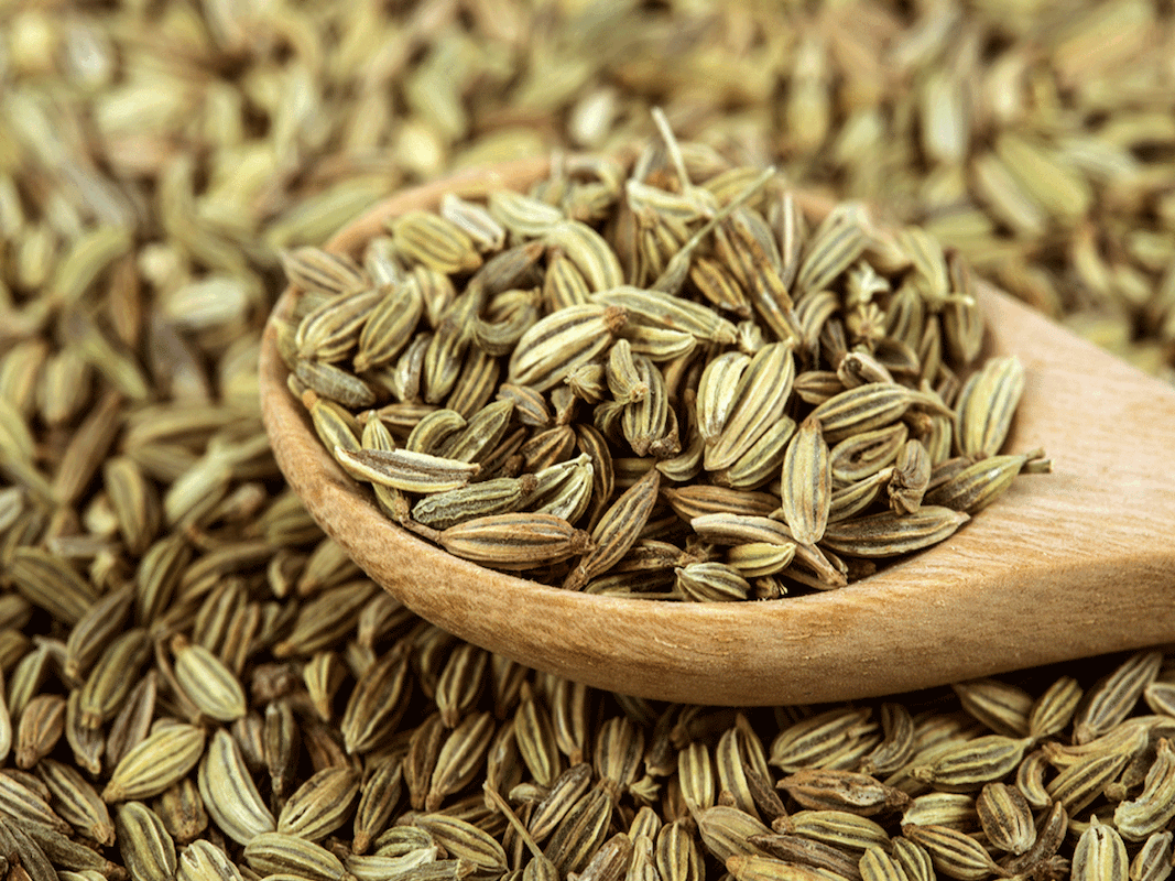 Fennel Seeds, Tasty and Good for Your Skin