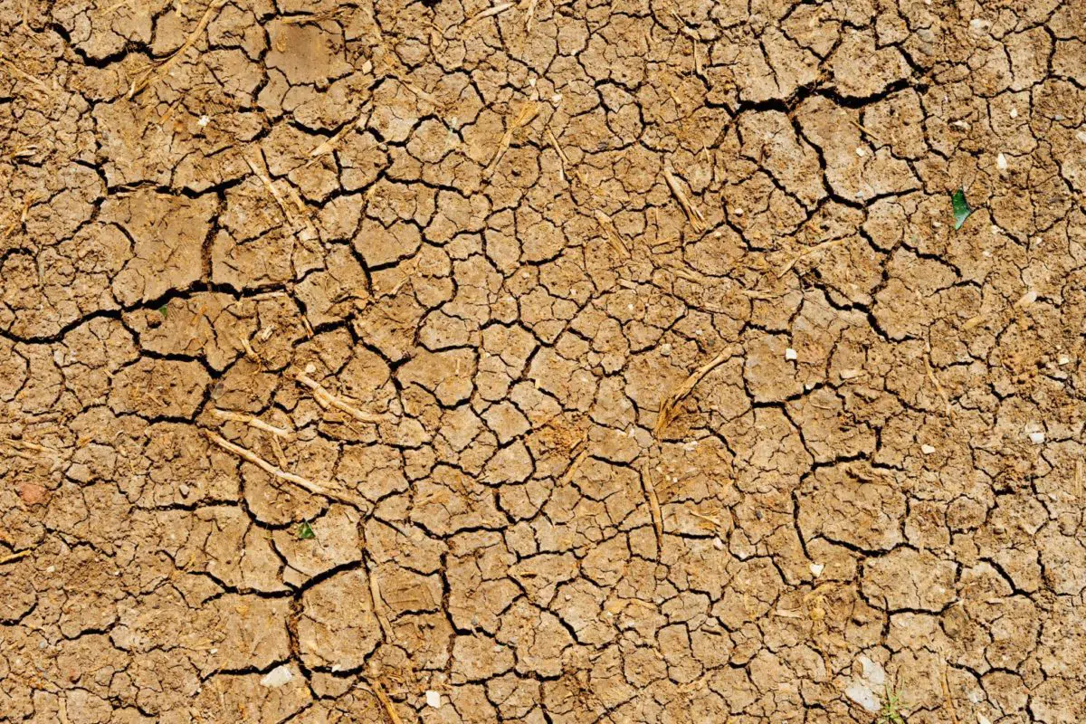 Salicylic Acid —It May Dry and Thin Your Skin