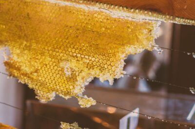Beeswax: The Natural Skin Protectant that Soothes and Hydrates 1