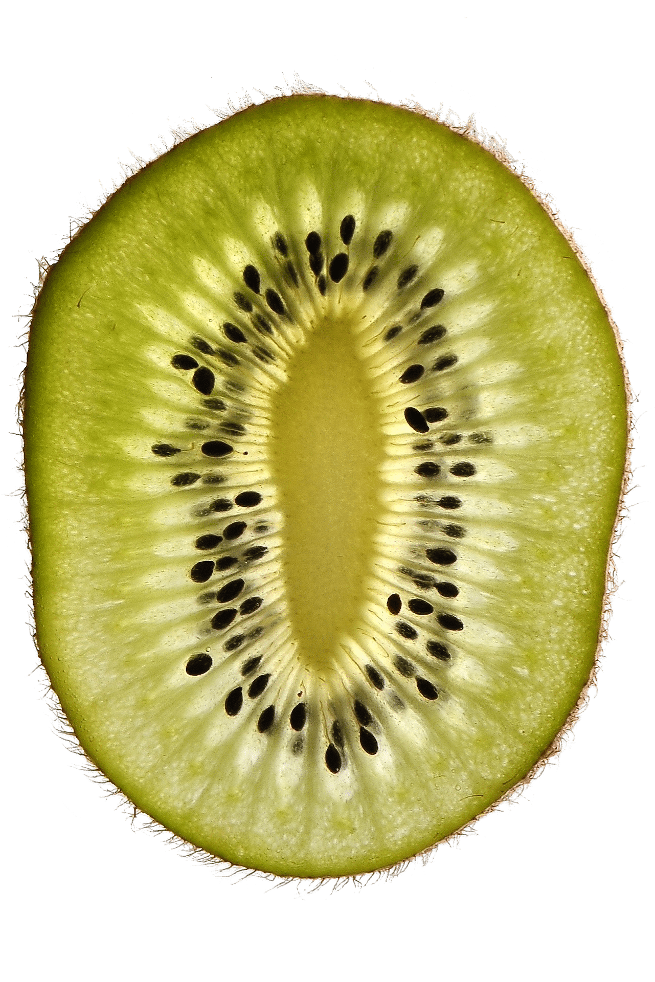 kiwi