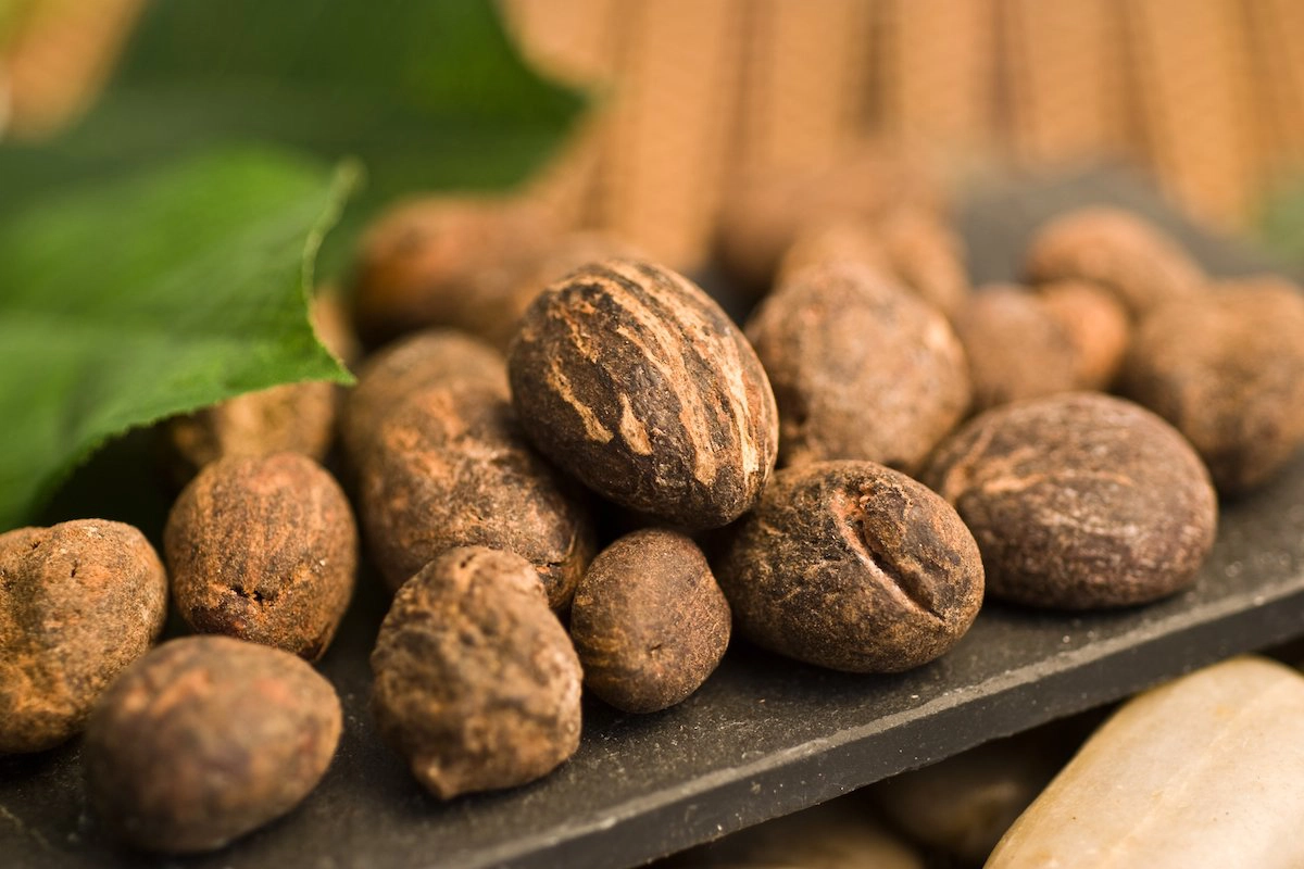 Shea Butter, the Fast-Absorbing, Anti-Aging Moisturizer