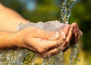 FDA Questions Triclosan—Why You Should Avoid This Antibacterial Ingredient