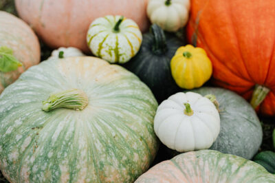 5 Health Benefits of Eating Pumpkin