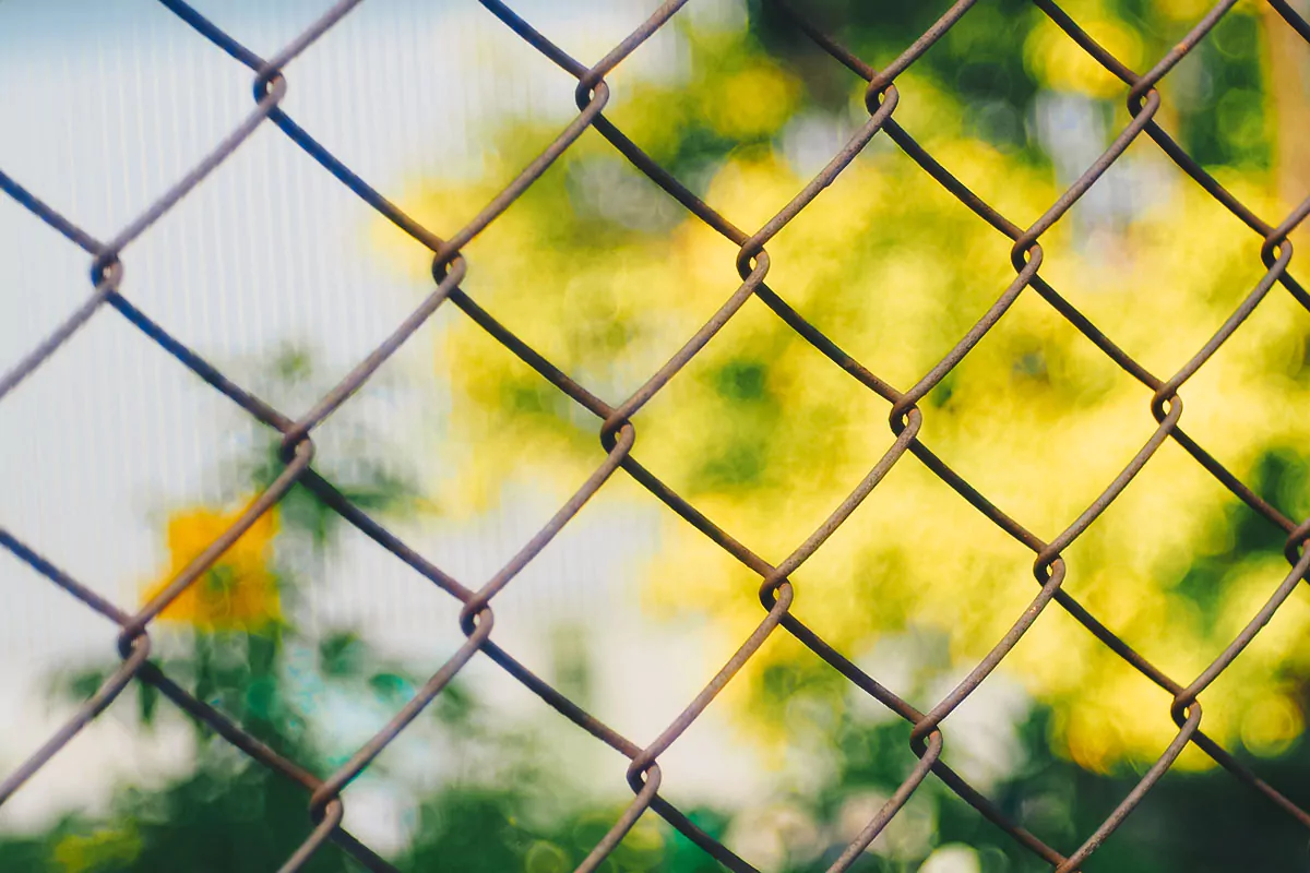 Vertical Gardening - Fence