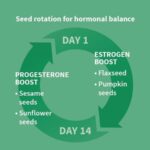 Seed Cycling Diet: How to Increase Progesterone & Regulate Your Period