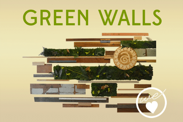green walls
