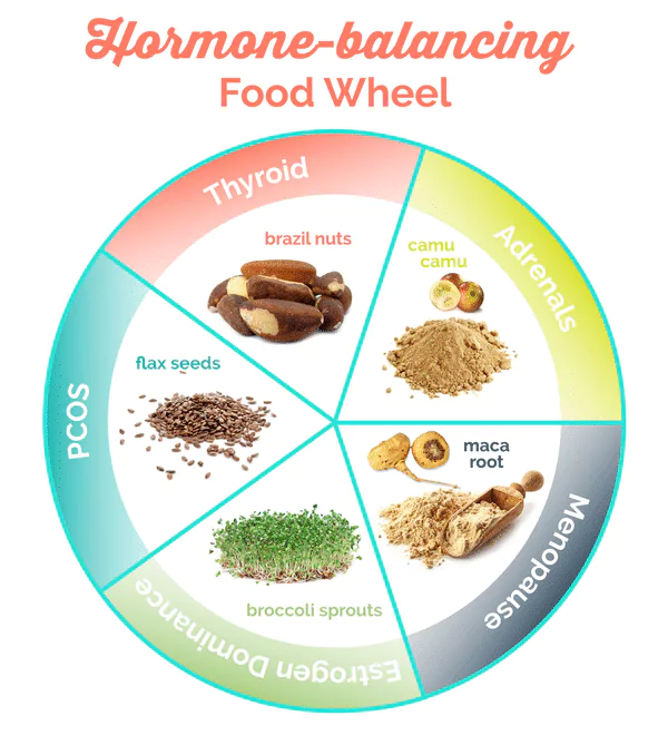 Superfood food wheel