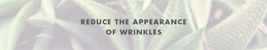 bestof_wrinkles_header