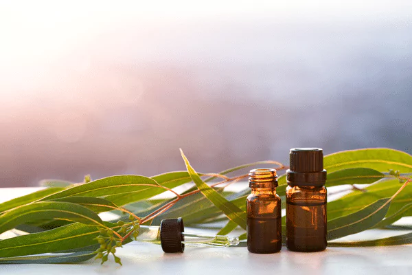 Using vetiver essential oil as a base note is incredible for your signature perfume