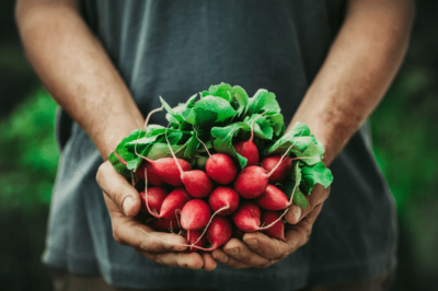 Why Radishes are the Ultimate Beauty Food