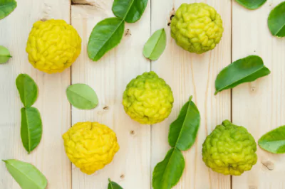 Facts You May Not Know About Bergamot Essential Oil