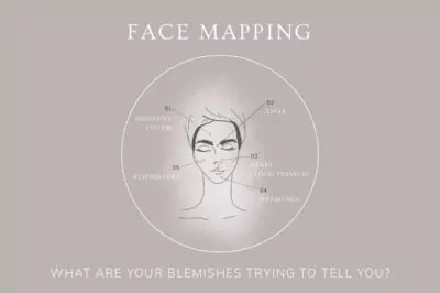 Face Mapping: An Introduction
