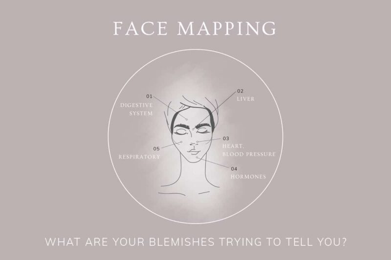 Face Mapping: An Introduction