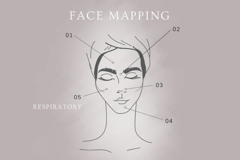 Face Mapping: the Respiratory System and Your Cheeks 1