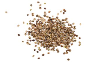 Free Premium CBD Gummies Taster Pack