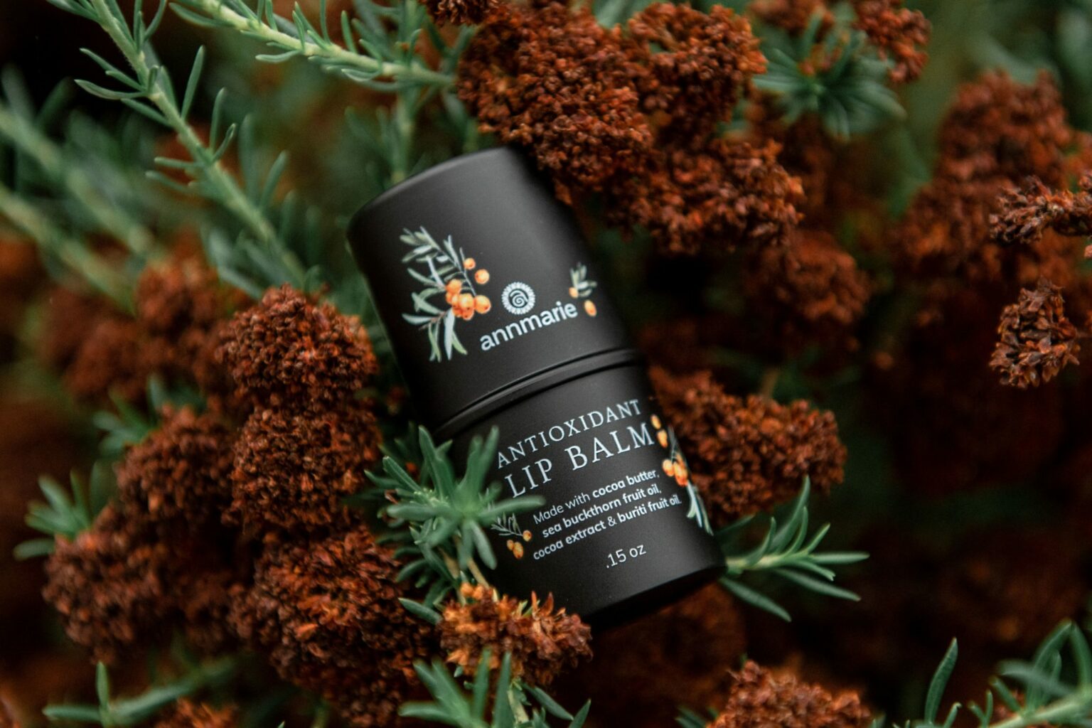 Introducing the Newest Natural & Organic Skin Care Product: Antioxidant Lip Balm 1