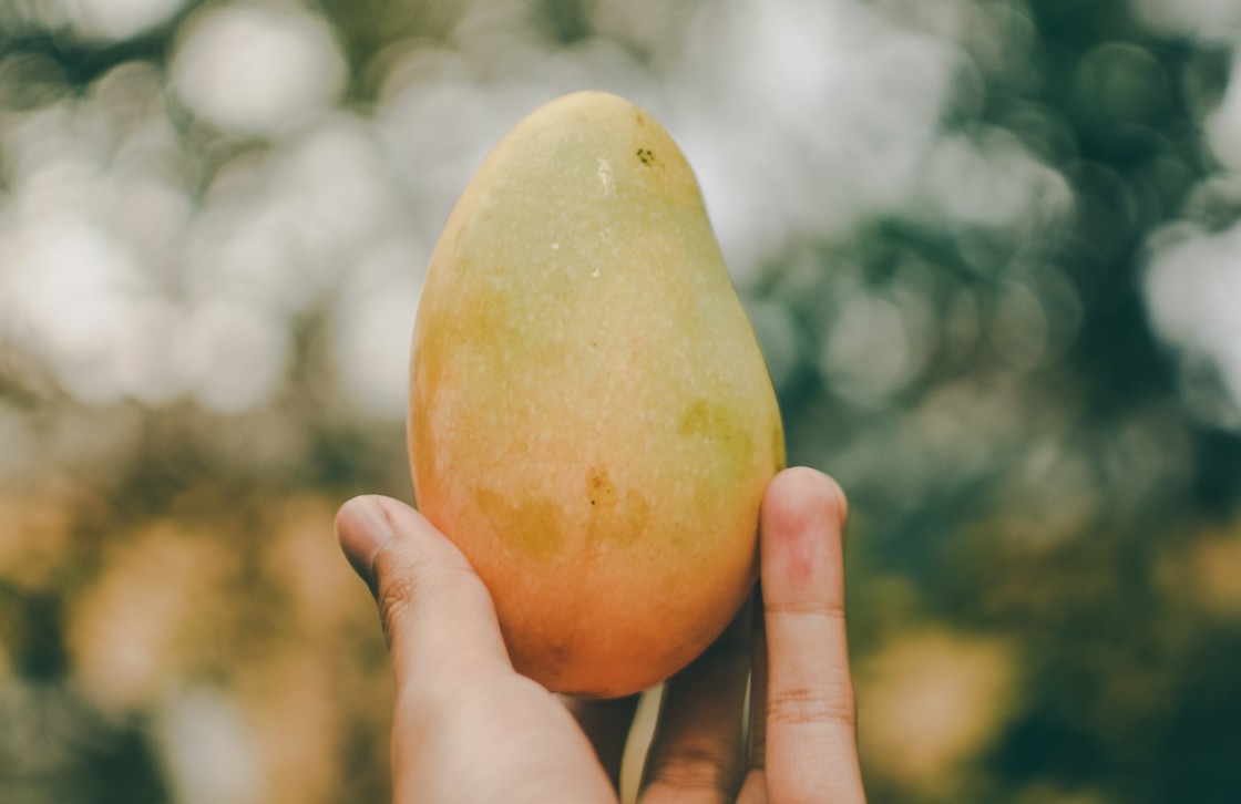 Mango Seed Butter Skin Benefits