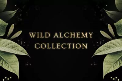 The Annmarie Skin Care Wild Alchemy Collection