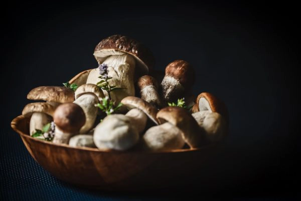 Wild mushrooms 