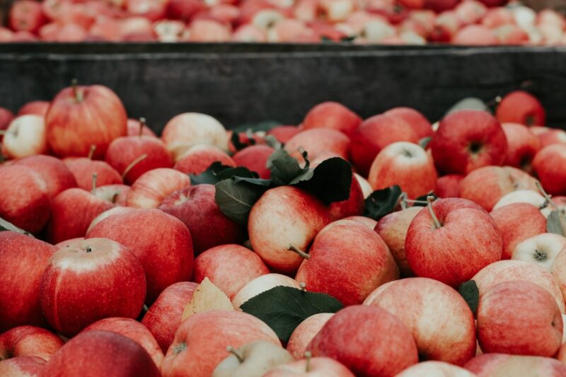 Apple Extract: A Wild Ally in Skin Care