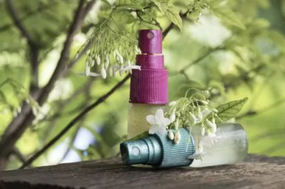 Your Medicine Cabinet's Secret Weapon: Five Benefits of Oregano Essential  Oil