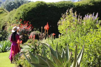 Springtime at a Biodynamic Farm