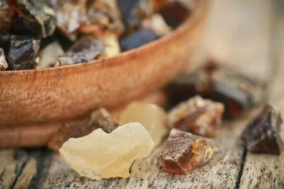 7 Things You Didn't Know About Frankincense Essential Oil