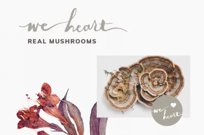 We Heart: Real Mushrooms