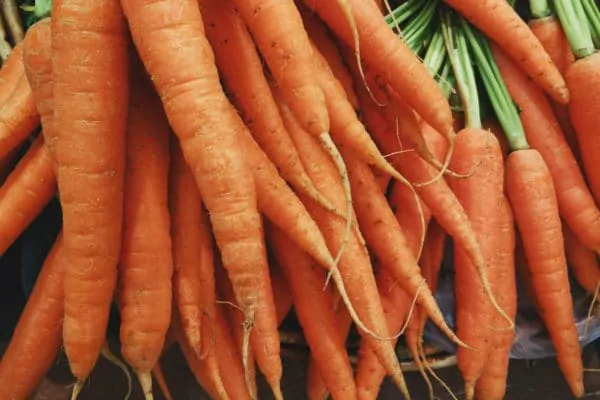 If you need to add red tint to your hair, then using carrot juice is one of the easiest ways to do it.