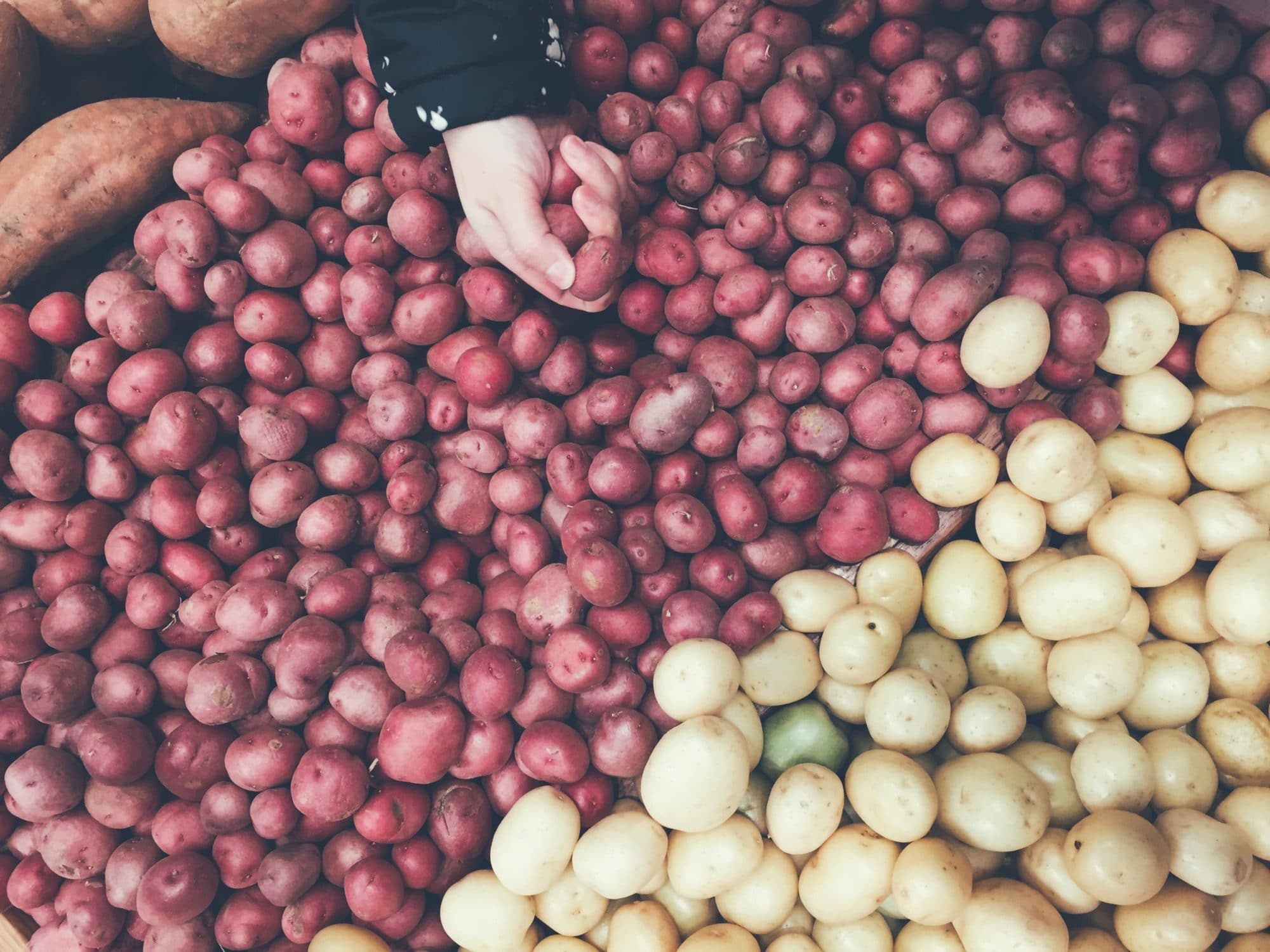 organic potato salad