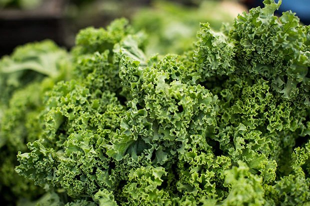 nutrient rich detoxifying kale