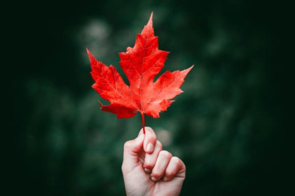 fall equinox ritual