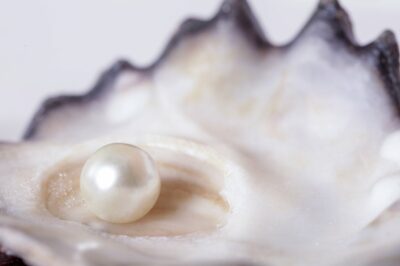 Pearl Powder: The Brightening Elixir You Need in Your Skin Routine