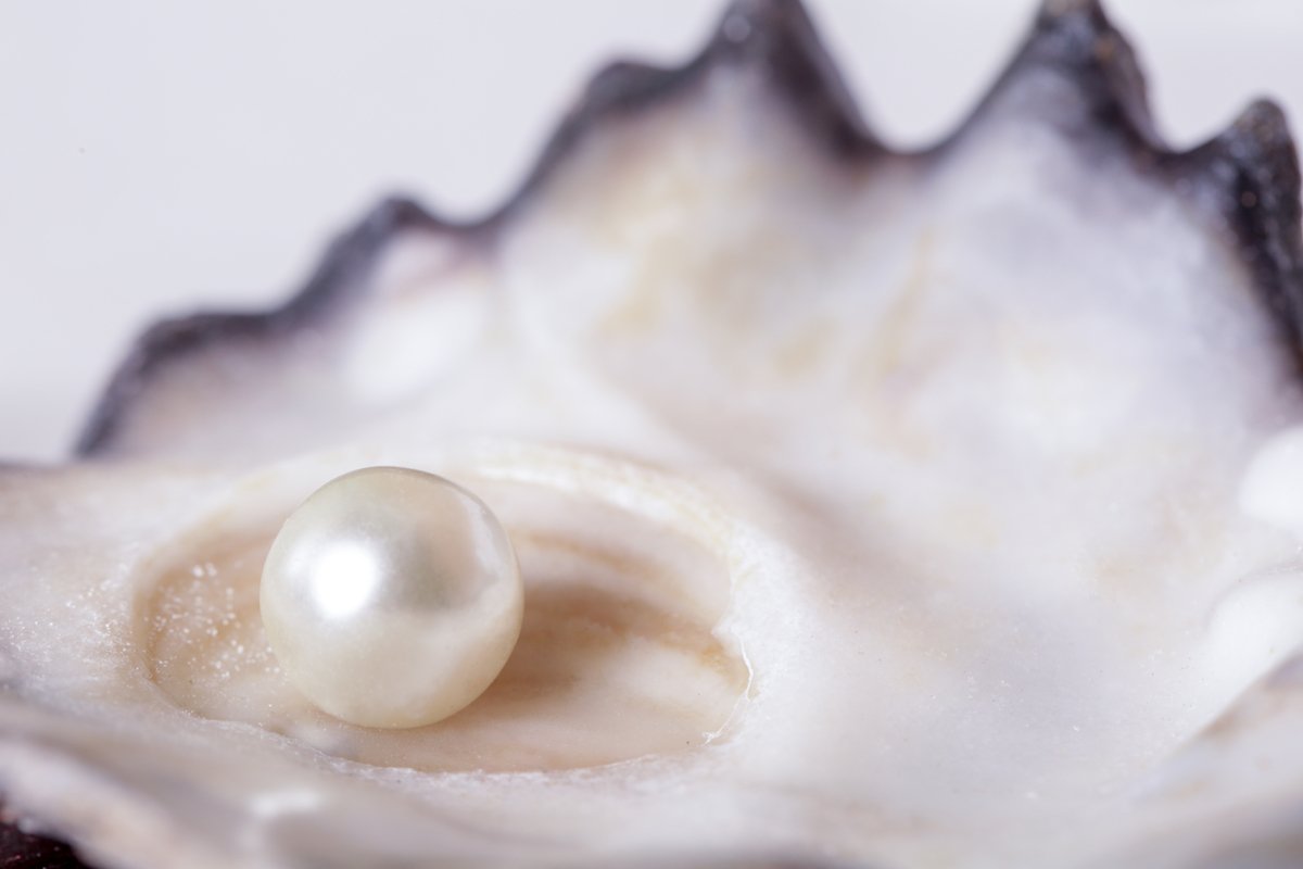 Ingredient Spotlight: Benefits of Pearl Powder for Skin Care Routine -  Annmarie Gianni