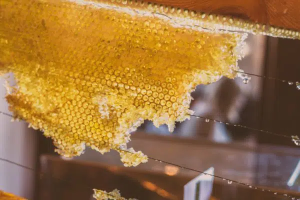 manuka honey