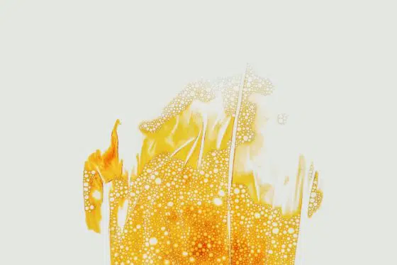 skin microbiome