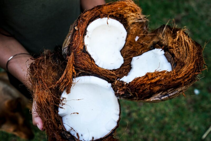 What’s the Difference Extra Virgin and Fractionated Coconut Oil?