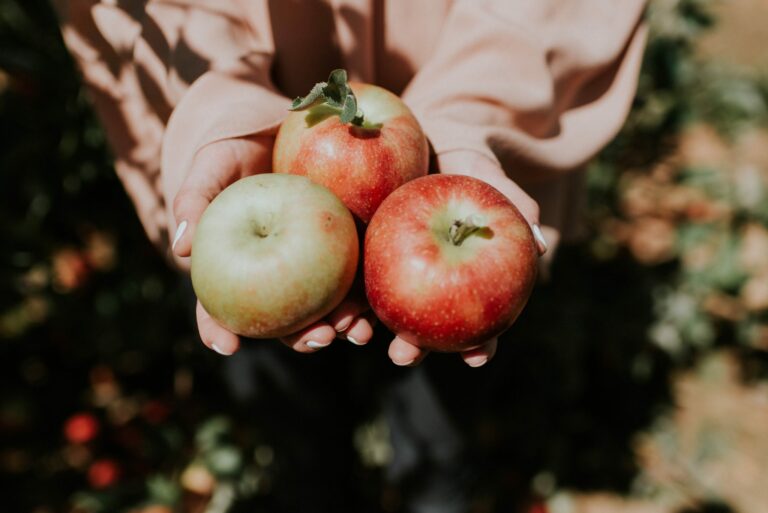 Apple Fruit Extract Skin Benefit A Wild Ally in Skin Care Annmarie