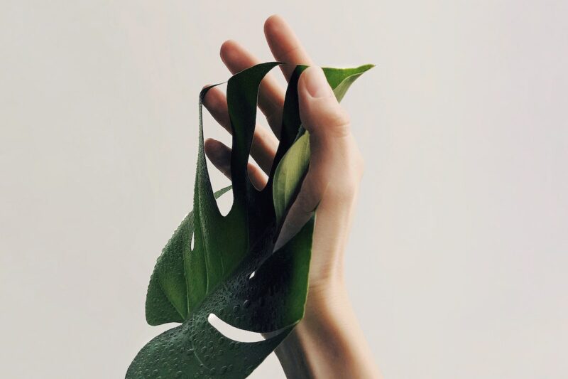 best way to moisturize hands overnight