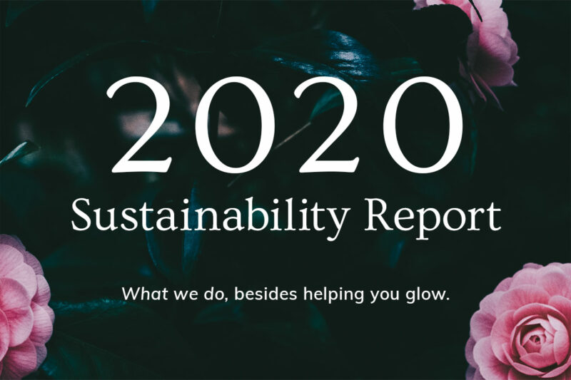 Annmarie Skin Care Sustainability Report: 2020 1
