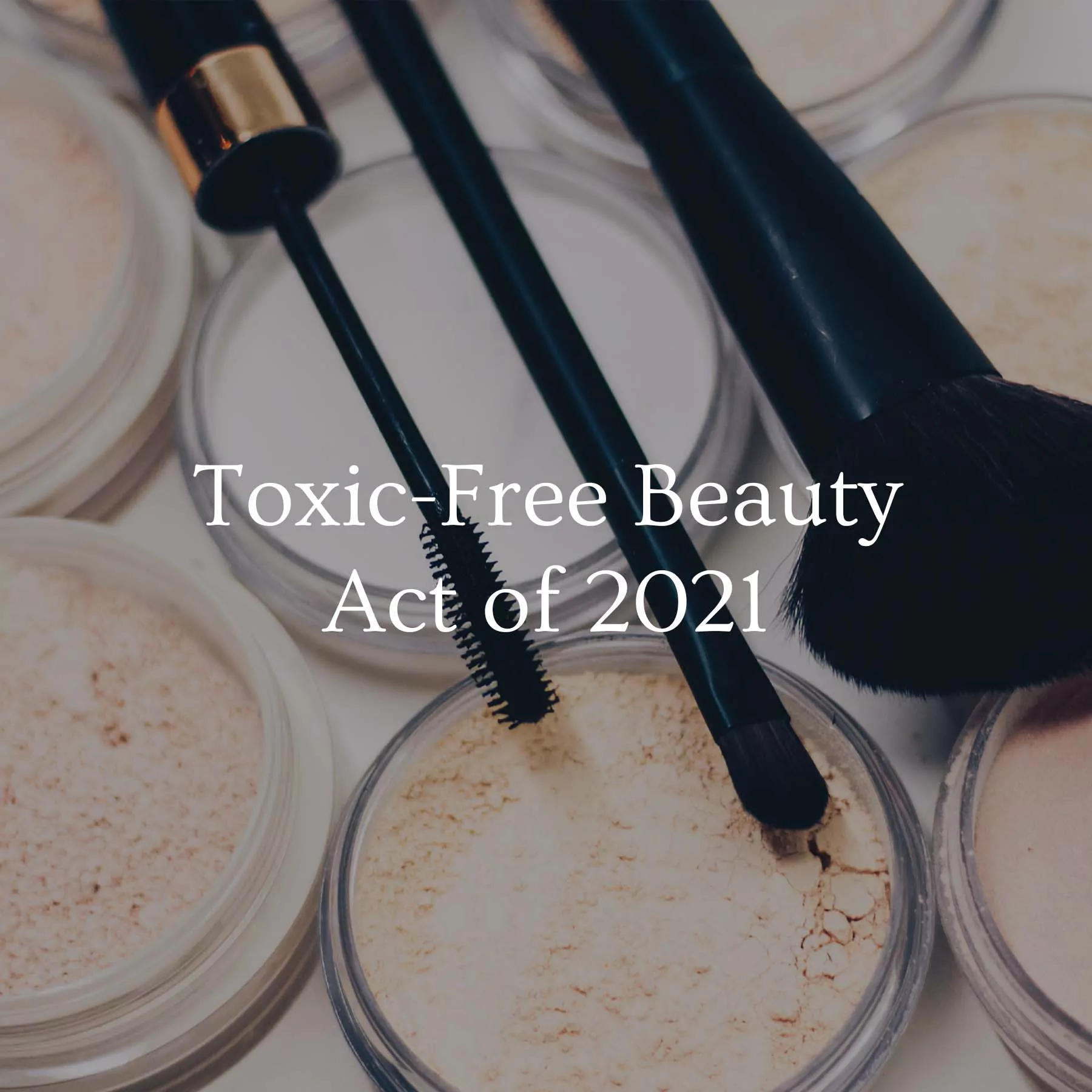 Annmarie Skin Care Sustainability Report: 2022 1
