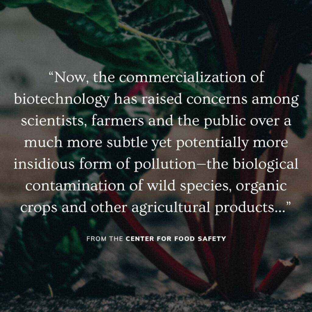 "Now, the commercialization of biotechnology has raised concerns among scientists, farmers and the public over a much more subtle yet potentially more insidious form of pollution—the biological contamination of wild species, organic crops and other agricultural products… Plant geneticist Dr. Norman C. Ellstrand describes the difference between chemical and biological pollution: "A single molecule of DDT remains a single molecule or degrades, but a single crop [gene] has the opportunity to multiply itself repeatedly through reproduction, which can frustrate attempts at containment." Even as agricultural biotechnology brings with it an unprecedented increase in potential biological pollution, its current uses are also likely to increase the use of agricultural chemicals.” —Center for Food Safety