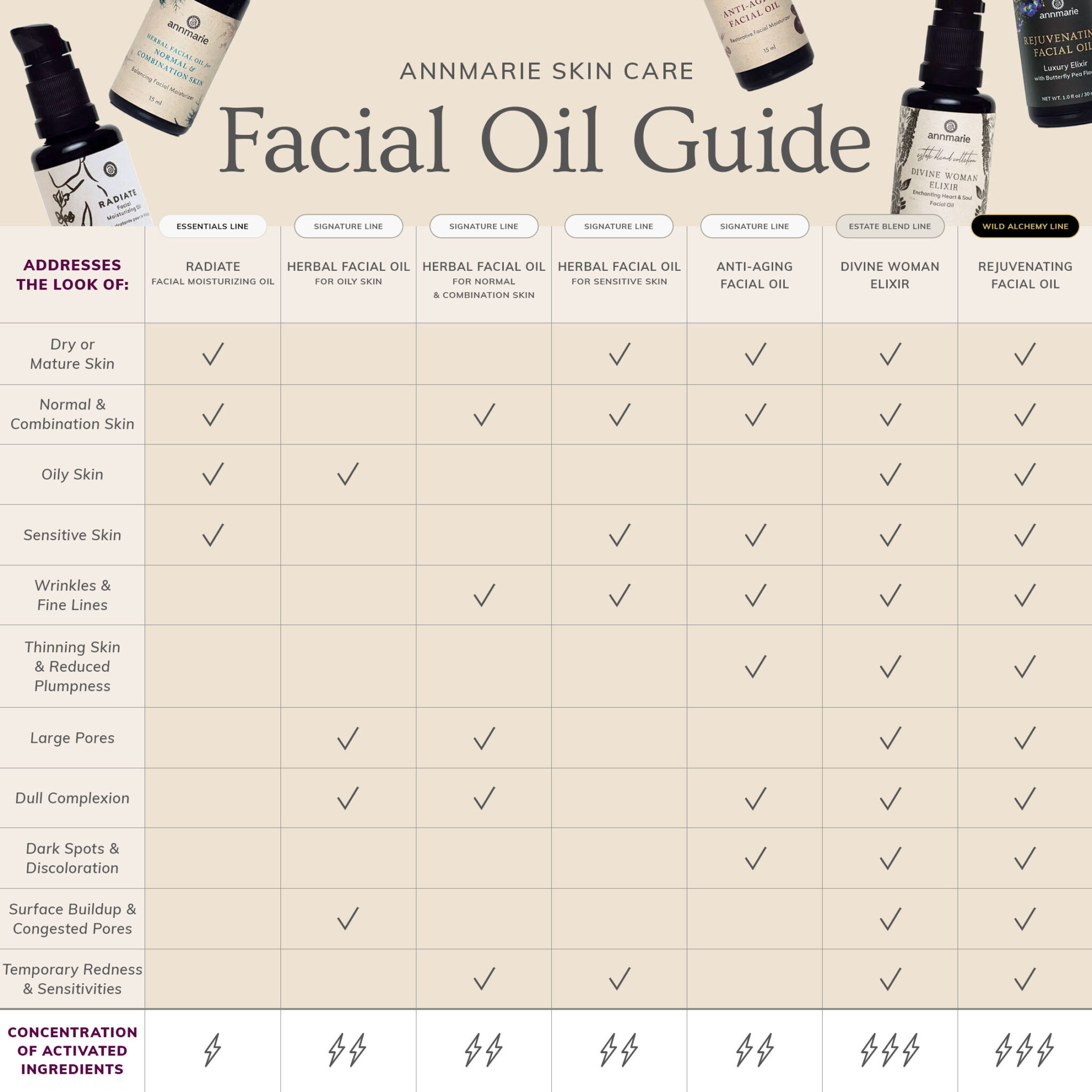 Annmarie Skin Care Facial Oil Guide 2