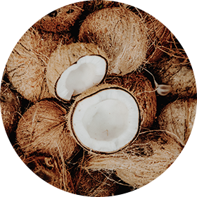 fractionated coconut oil