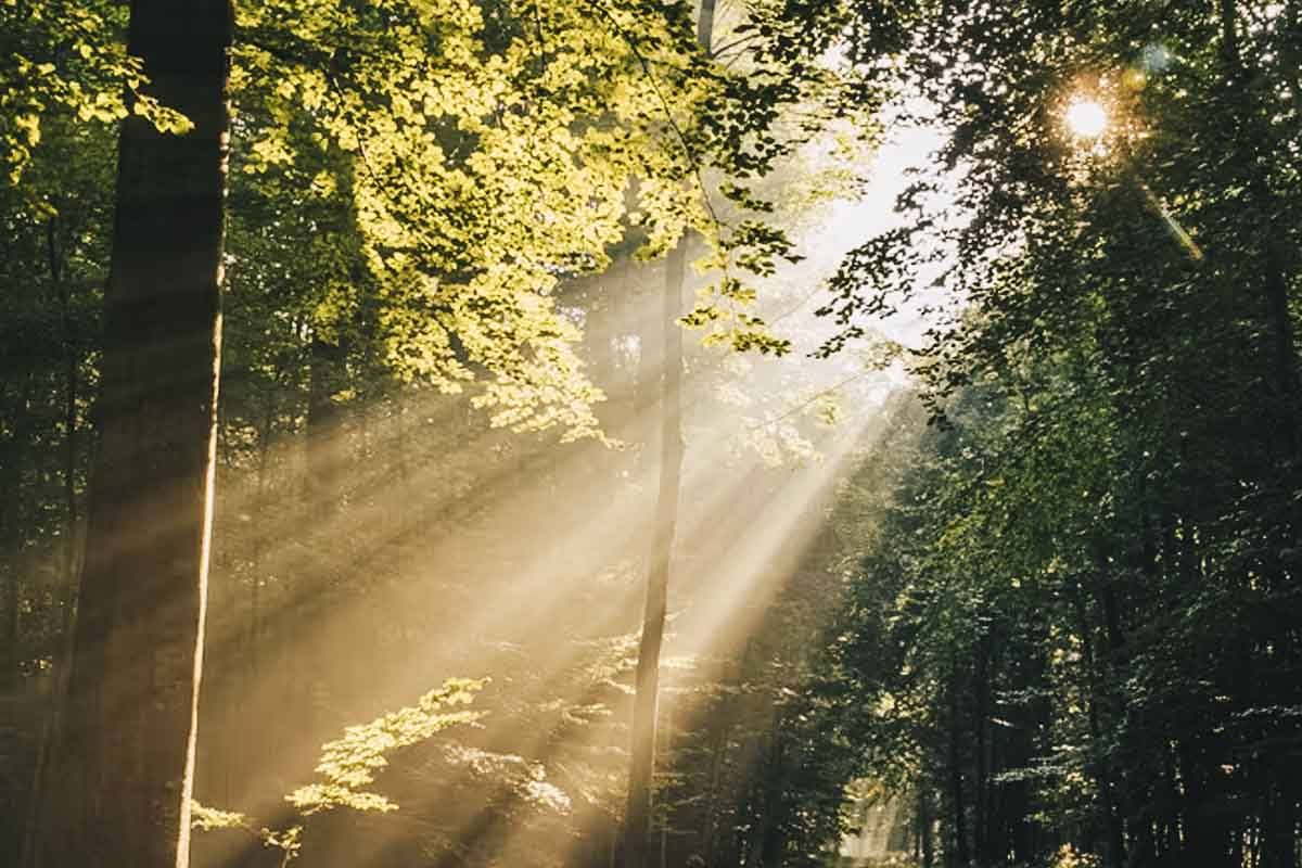 What Is Glycation? A Guide to Causes, Beauty Treatment & Prevention