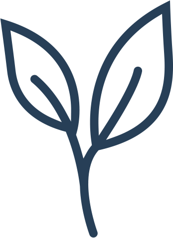 organic and wildcrafted ingredients