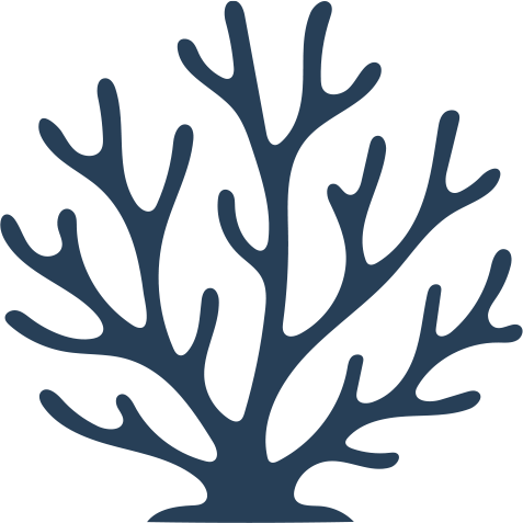 reef-friendly and cruelty-free